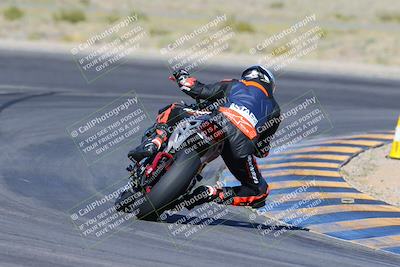 media/Apr-14-2024-SoCal Trackdays (Sun) [[70f97d3d4f]]/2-Turn 11 Backside (935am)/